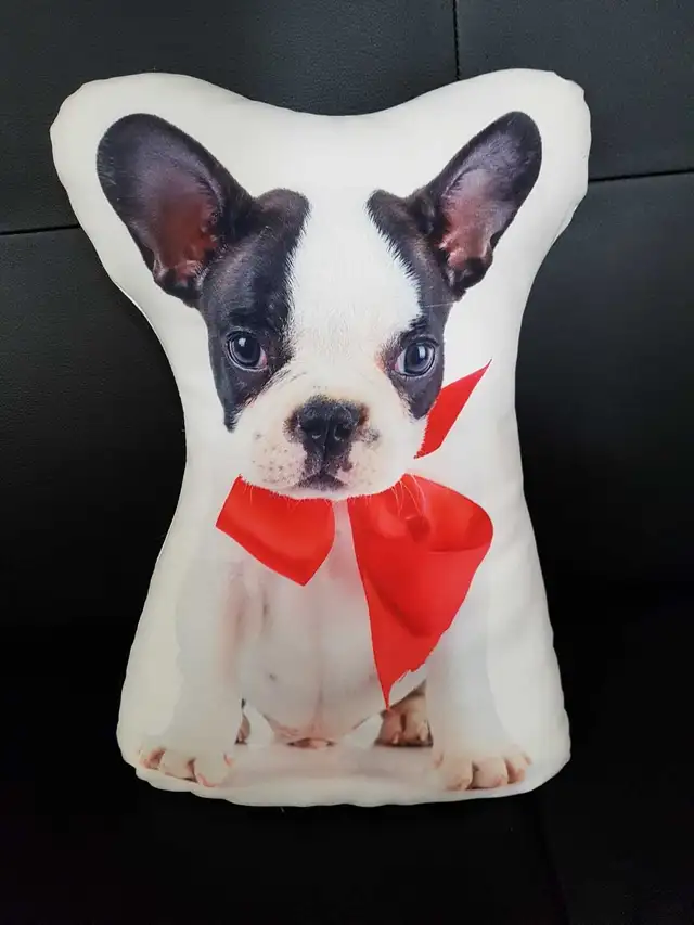 Decorative Pillow Puppy 