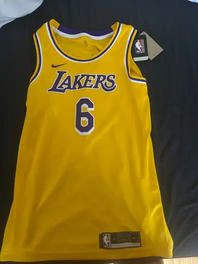 Nike LeBron James Lakers Jersey, View more