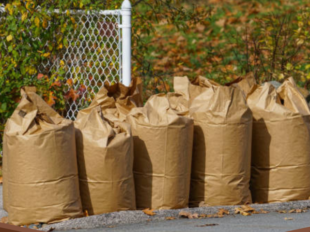 Yard Clean-Up &  Spring Yard Work Help414911075494154242