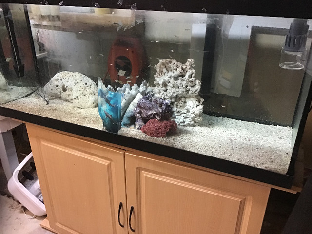 90 gallon Aquarium /cabinet in Fish for Rehoming in Belleville - Image 2