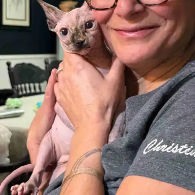 10 month old Sphnx loving for a loving home. Her name is Uggie, She’s kind, loving and very sassy. U...