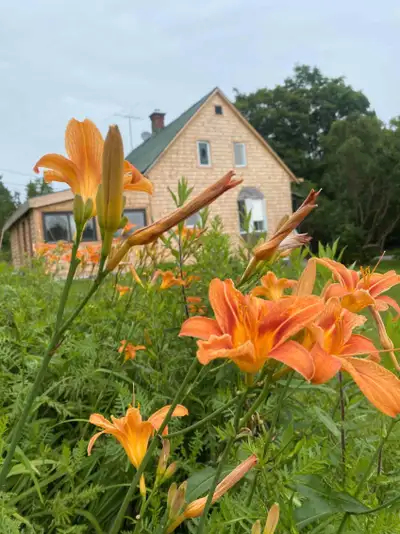 Farm cottage , View more
