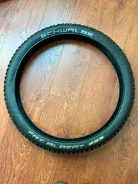 24 inch Schwalbe Tires -Fat Albert