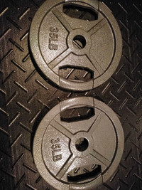 Set of 25 lbs and 35 lbs Olympic Weight Plates