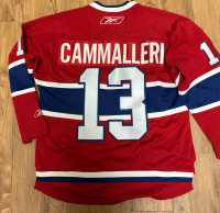 Montreal Canadiens - Mike Cammalleri