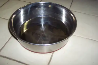 Bol pour chien Durapet TM, View more