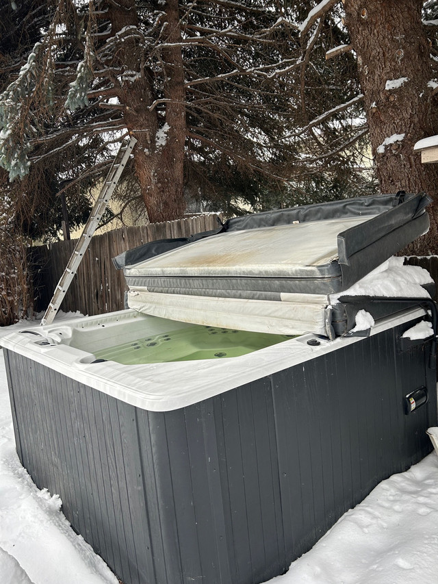 Dynasty Spas Hot tub in Hot Tubs & Pools in Calgary - Image 4