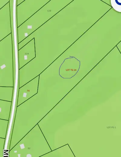 12.5 acres on the Miner Meadow rd Black River fully wooded 500 feet road frontage