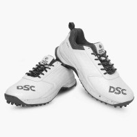 DSC Cricket Shoes