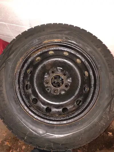 Maxxam WP-603 5x4.5"