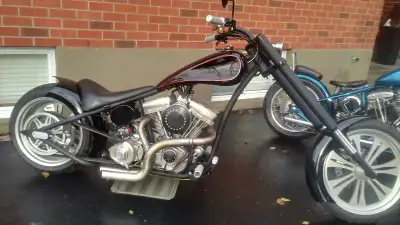 Meet the X300 speedster, 2006. Rigid frame with Rev Teck V twin motor, 100 cubic inch with 42 mikuni...