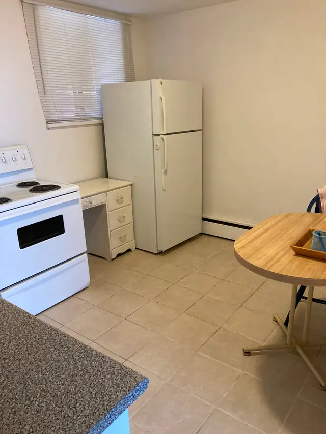 Room for rent in two bedroom apartment in Room Rentals & Roommates in Kitchener / Waterloo - Image 7