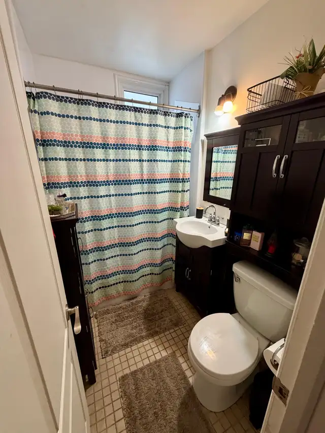 31/2 Nouveau -Rosemont in Long Term Rentals in City of Montréal - Image 10