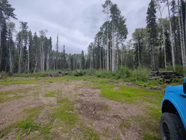 5.1 Acres For Sale Near Stuart Lake, BC in Land for Sale in Downtown-West End - Image 5
