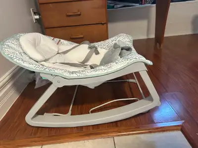 Ingenuity Baby Bouncer and Rocker, View more