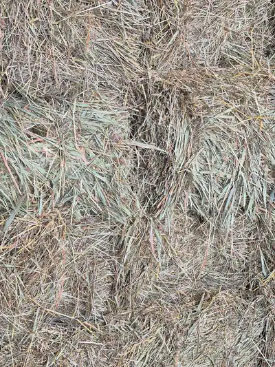 Nice solid horse quality, cut & baled dry. Stored in shed, average 60 - 65 lbs. $8.50/bale. Lac du B...