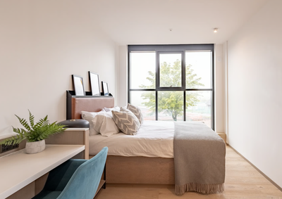 Hello there. I'm looking for a tenant to sublease my private room in a 5-bedroom, 2.5-bath apartment...