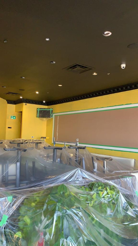 Commercial painting services in Painters & Painting in City of Toronto - Image 4