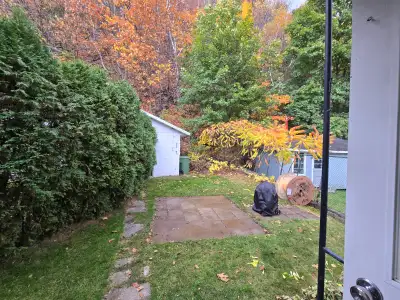 4 1/2 a louer face au fleuve Cour arrière 1 stationnement inclus Déneigement inclus Plage a proximit...