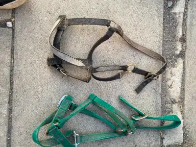 Halters for sale . $5.00 each, phone or text 780-871-3373, Chuck