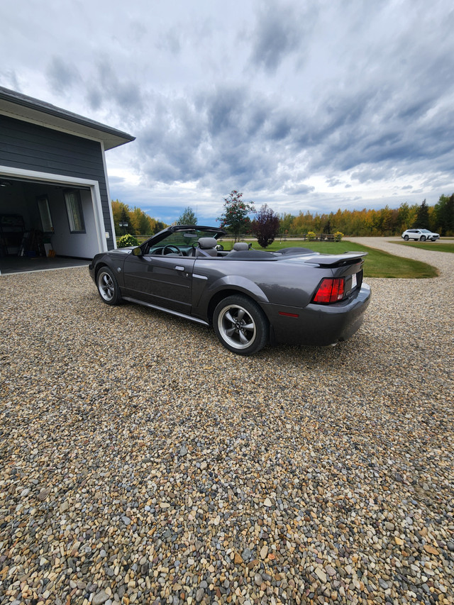 2004 Mustang GT in Cars & Trucks in Edmonton - Image 4