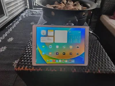 Apple iPad Pro 1re gén. 256 Go, Wi-Fi, 12,9 pouces, View more