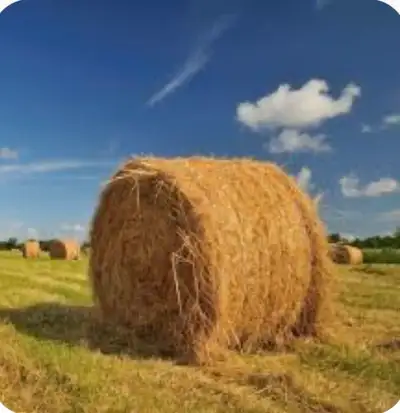 Hay Wanted , View more