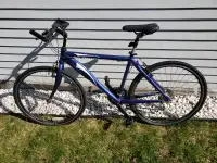 Bicycle Bike Bicyclette grandeur Adult size