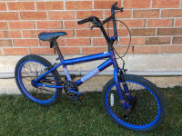 serviced by hobby-bike mechanic: 20" wheels, teen BMX, "Brazen"