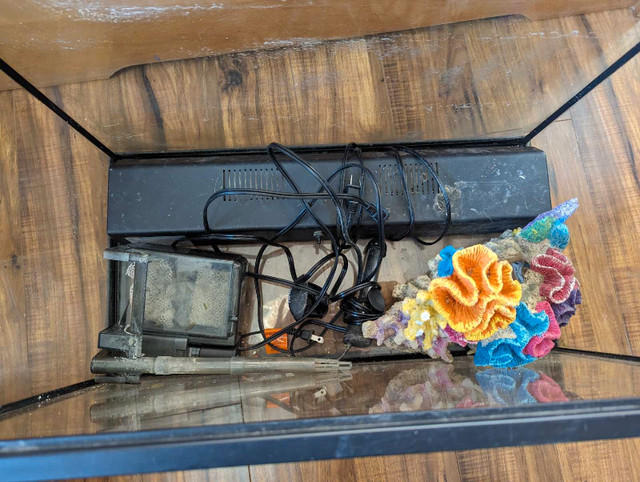20g fishtank bundle in Accessories in Thunder Bay - Image 2