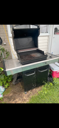 Natural gas bbq