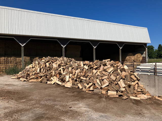 Ash Firewood For Sale in Other in Owen Sound - Image 2