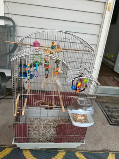 Large bird cage with 2 parrots, View more