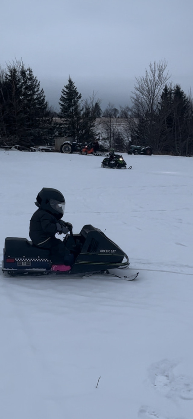 79 Kitty Kat  in Snowmobiles in Charlottetown - Image 3