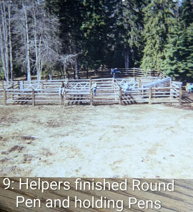 Learning Gentling horses