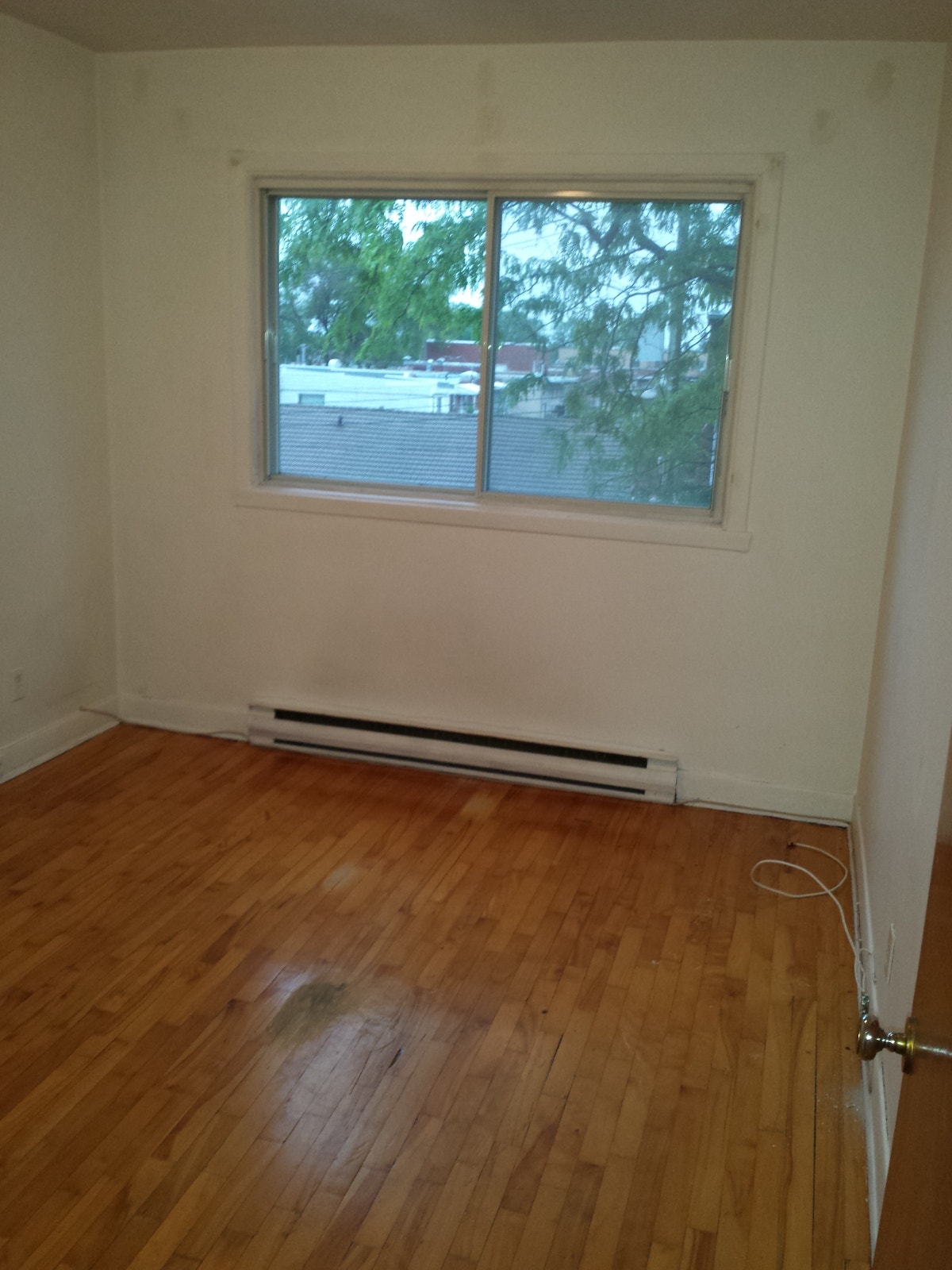 8415 Rue Ontario E — photo 2