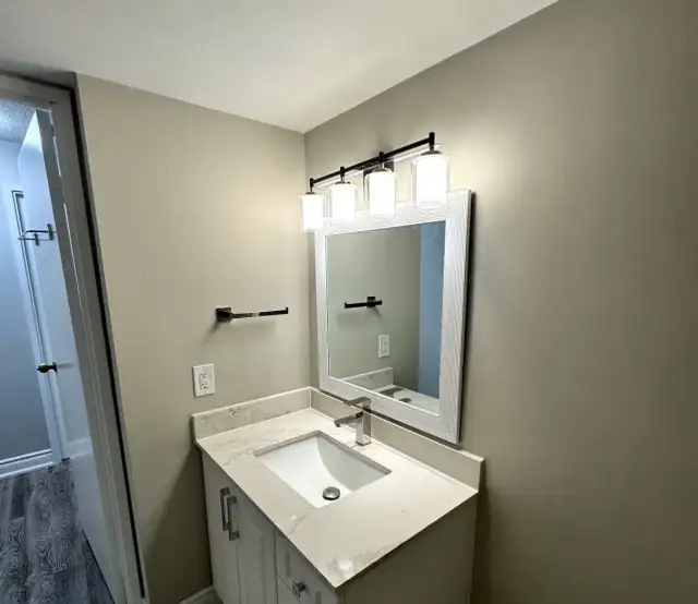 painter and handyman 450230019530444801