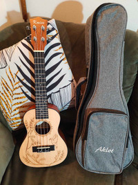 Kmise Top Solid Spruce concert electric acoustic ukulele