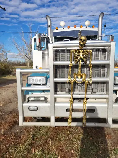 Made for 388-389 peterbilt.i took it off of a 379 so it will fit that also.please text or call 306 6...