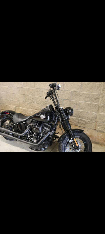 2016 softail Slim S in Street, Cruisers & Choppers in Fredericton - Image 3