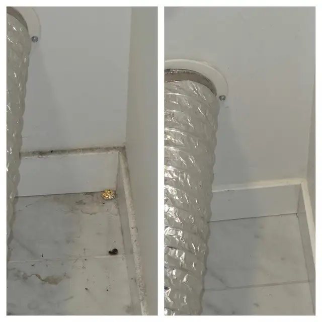 Cleaner looking for New Clients