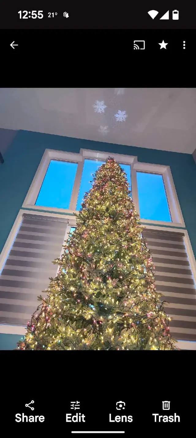 Aspen Christmas Tree62863272795267121