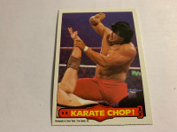 1985 Series 2 O-Pee-Chee WWF Wrestling#30 Ricky Dragon Steamboat