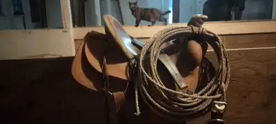 tack for sale, View more