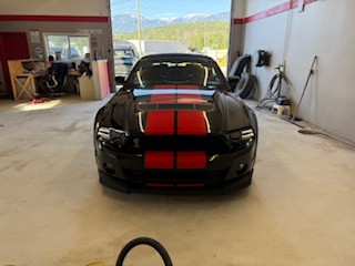 2013 Shelby GT 500 in Cars & Trucks in Calgary