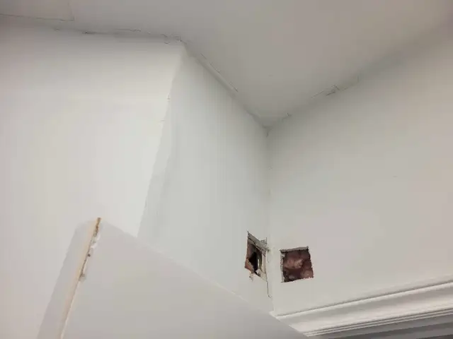 hiring professional painter, plaster62863713517955123