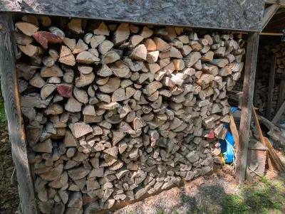 Up to 5 face cords of seasoned hardwood firewood @ 120$ each. Mix of maple, oak, and cherry. Stacked...