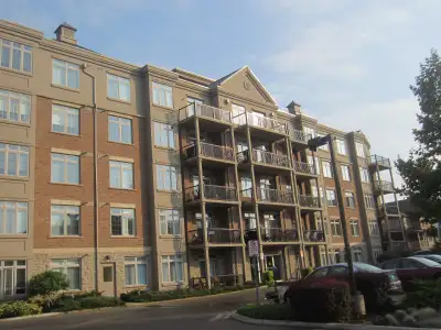 New Listing! 1 Bed + 1 Bath Aldershot Burlington July 1, 2025