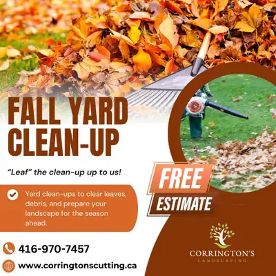 Landscaper helper needed for fall clean ups., View more
