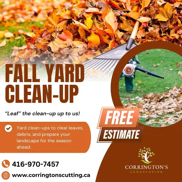 Landscaper helper needed for fall clean ups.64264276395395120